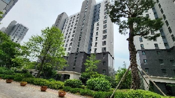 경기 과천시 별양동 아파트 경매 물건 사진
