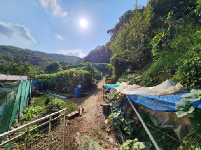 경기 안양시 만안구 안양동 임야 경매 물건 사진 2 · 2025타경101345