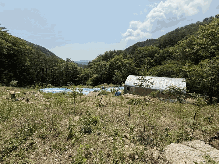 강원특별자치도 화천군 화천읍 동촌리 2644 임야 경매 물건 사진