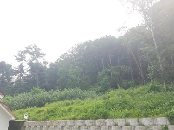 강원 춘천시 퇴계동 도로 경매 물건 사진 3 · 2025타경1425