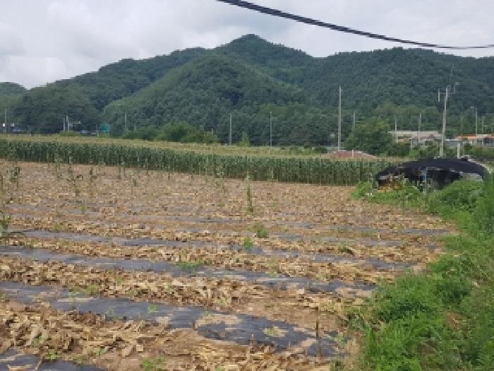 강원 인제군 남면 임야 경매 물건 사진 3 · 2025타경1548