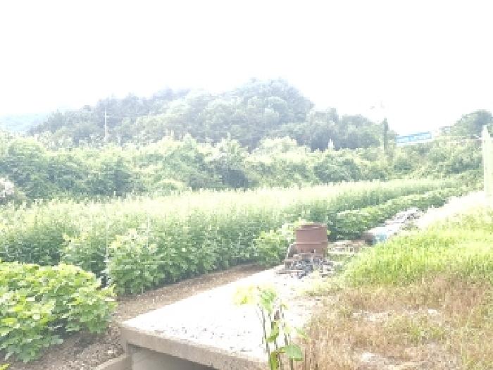 강원 인제군 남면 임야 경매 물건 사진 4 · 2025타경1548