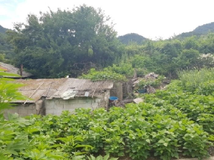 강원 인제군 남면 임야 경매 물건 사진 5 · 2025타경1548