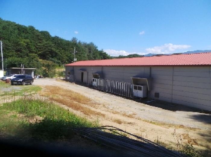 강원 양구군 동면 근린시설 경매 물건 사진