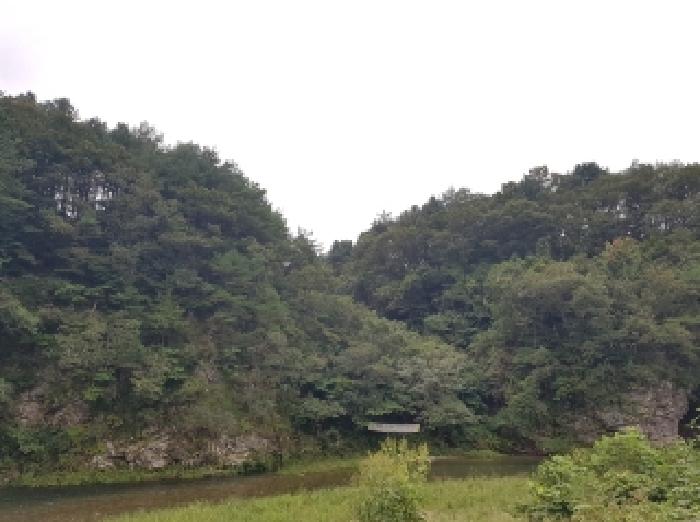 강원 홍천군 서면 임야 경매 물건 사진