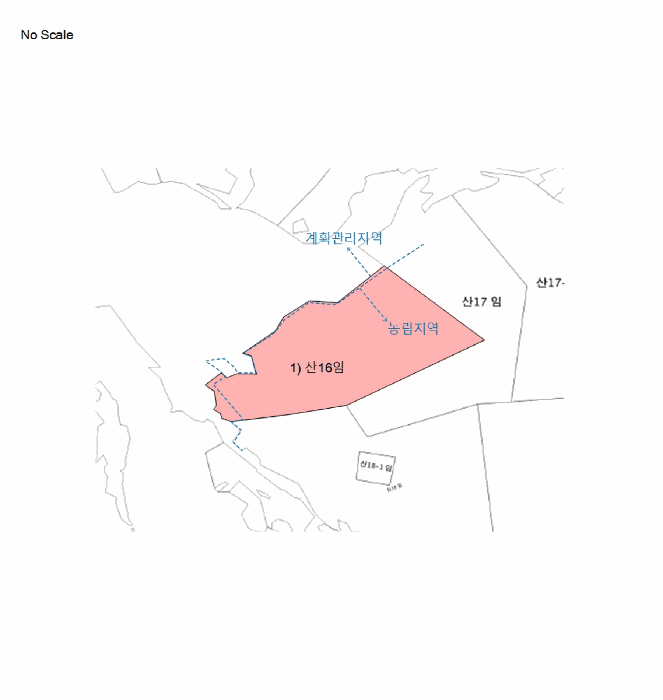 강원 홍천군 서면 임야 경매 물건 사진 6 · 2025타경2138