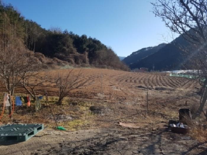강원 홍천군 서석면 전 경매 물건 사진