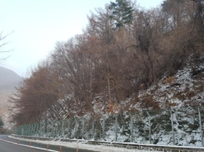 강원 홍천군 북방면 임야 경매 물건 사진