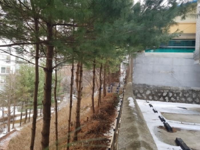 강원 홍천군 북방면 임야 경매 물건 사진 3 · 2025타경2619