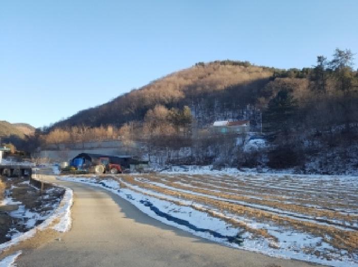 강원 홍천군 남면 전 경매 물건 사진