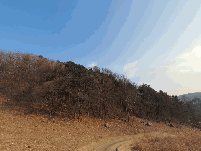 강원 춘천시 남면 임야 경매 물건 사진 4 · 2025타경2886