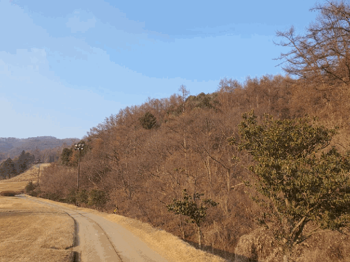 강원 춘천시 남면 임야 경매 물건 사진 5 · 2025타경2886