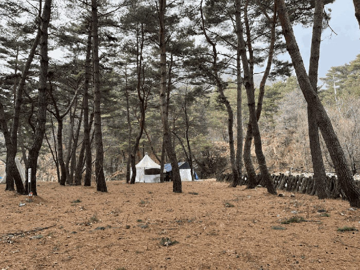 강원특별자치도 인제군 기린면 방동리 703 대지,임야,전답 경매 물건 사진