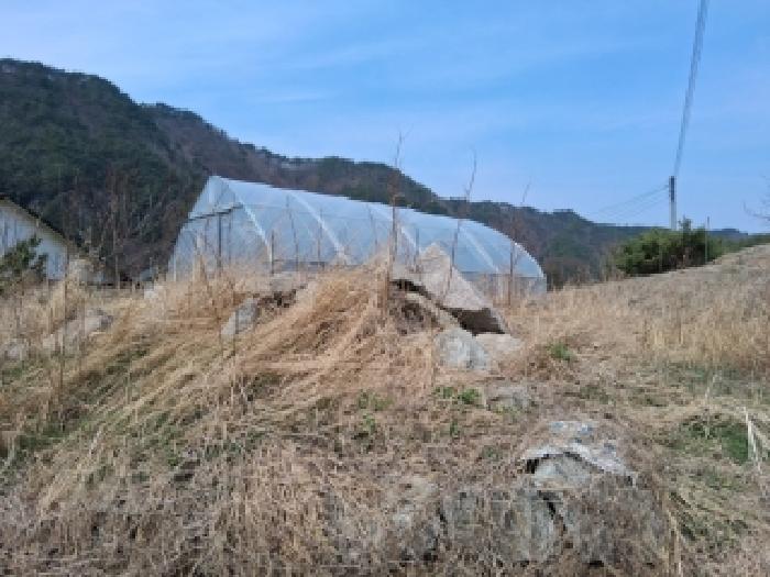 강원 인제군 기린면 전답 경매 물건 사진