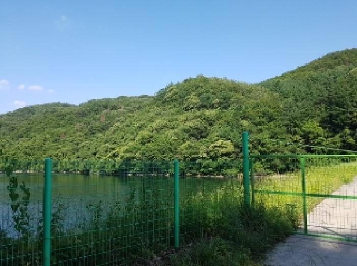 강원 춘천시 남산면 임야 경매 물건 사진 5 · 2025타경50604