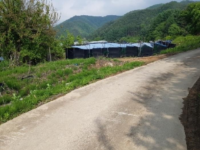 강원 홍천군 두촌면 전 경매 물건 사진