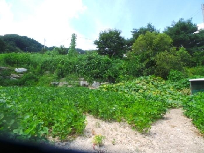 강원 화천군 사내면 창고시설 경매 물건 사진