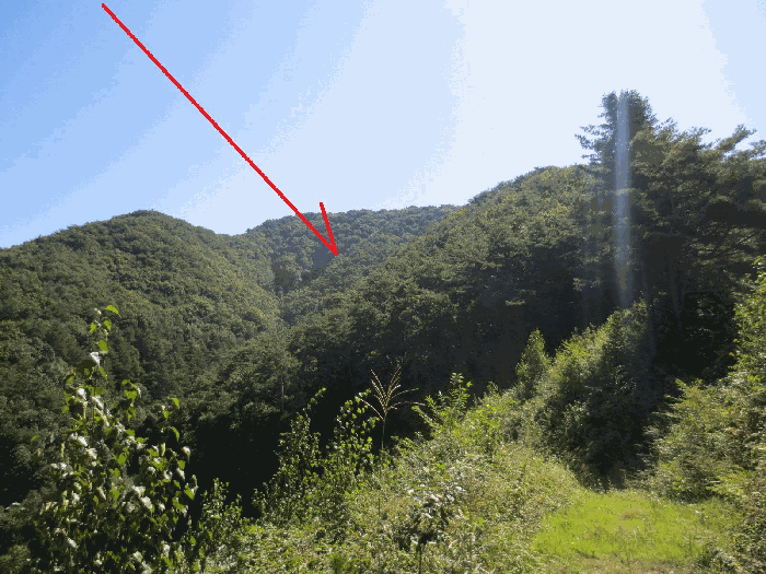 강원특별자치도 홍천군 남면 양덕원리 산19 임야 경매 물건 사진