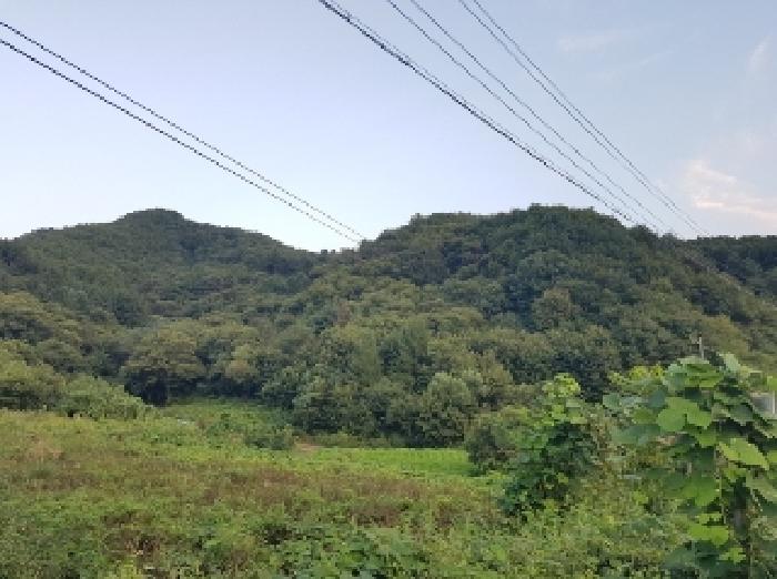 강원 홍천군 남면 임야 경매 물건 사진