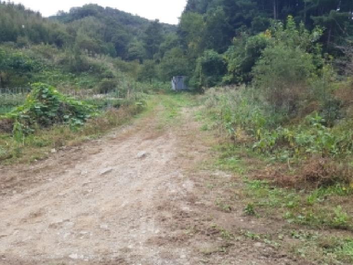 강원 춘천시 동산면 대지 경매 물건 사진