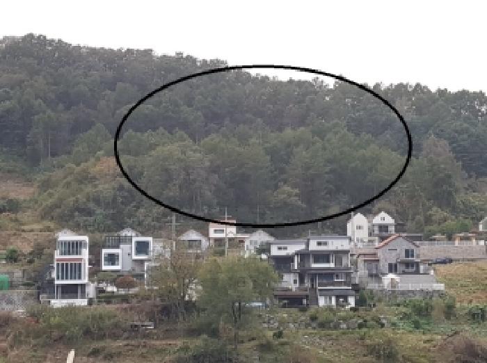 강원 홍천군 북방면 임야 경매 물건 사진 2 · 2025타경50944