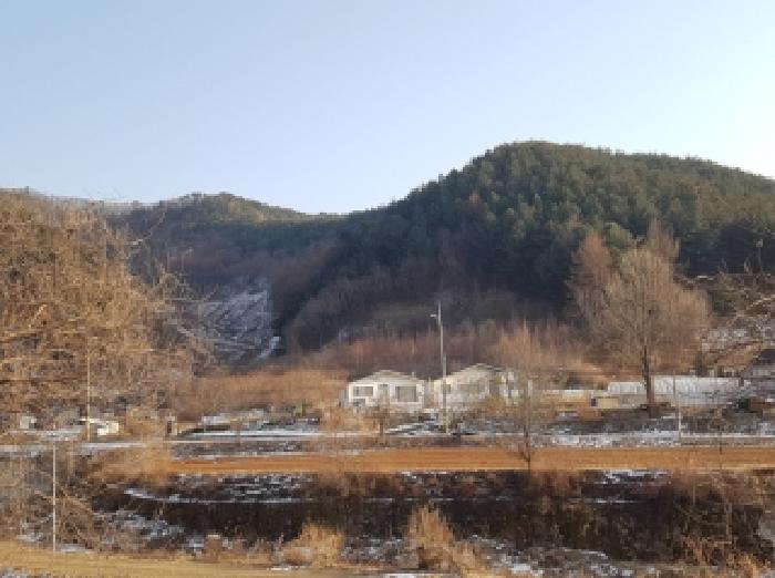 강원 홍천군 두촌면 전 경매 물건 사진 2 · 2025타경50984
