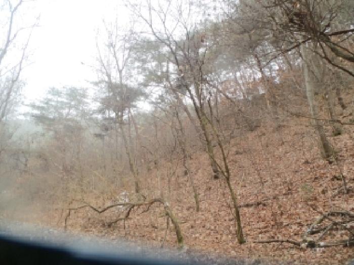 강원 춘천시 동면 임야 경매 물건 사진