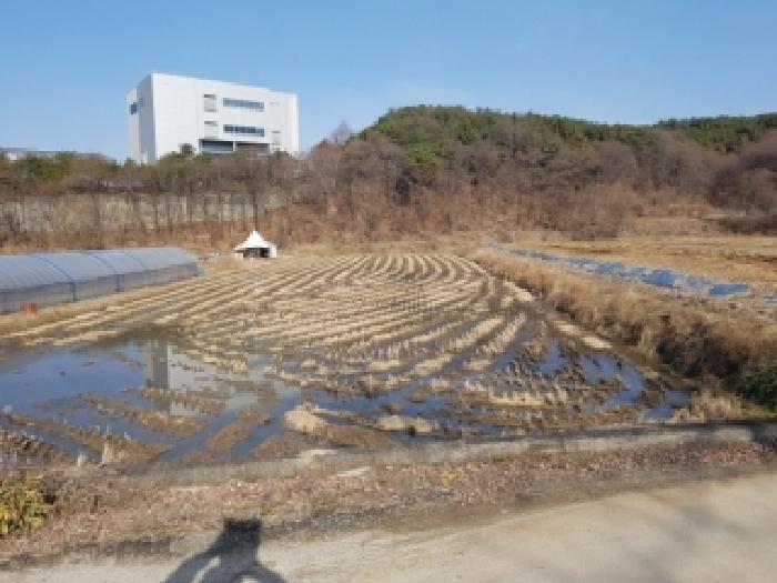 강원 춘천시 동내면 답 경매 물건 사진