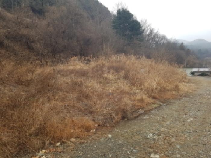 강원 춘천시 남면 답 경매 물건 사진