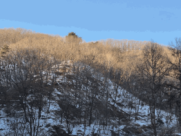 강원특별자치도 화천군 상서면 다목리 산50 임야 경매 물건 사진