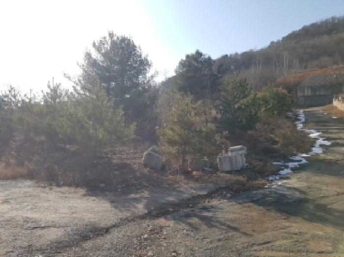 강원 홍천군 서면 임야 경매 물건 사진 3 · 2025타경51025