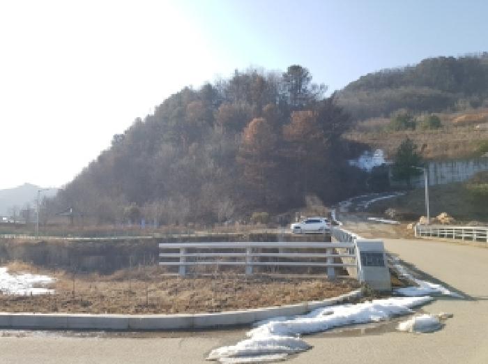 강원 홍천군 서면 임야 경매 물건 사진 4 · 2025타경51025