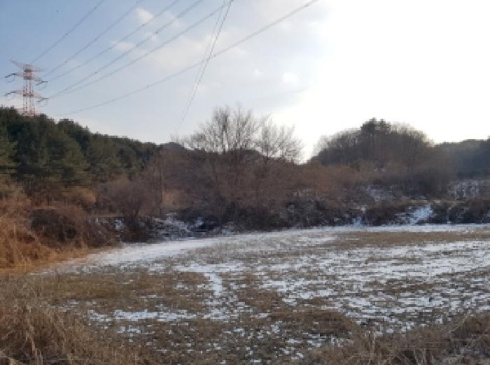 강원 홍천군 남면 대지,임야,전답 경매 물건 사진