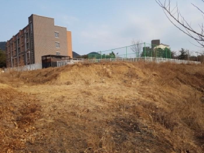 강원 홍천군 남면 대지 경매 물건 사진