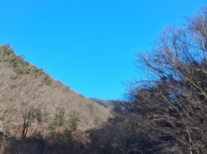 강원 춘천시 동산면 임야 경매 물건 사진 2 · 2025타경51046