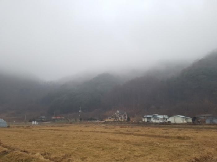 강원 홍천군 남면 임야 경매 물건 사진 2 · 2025타경51051