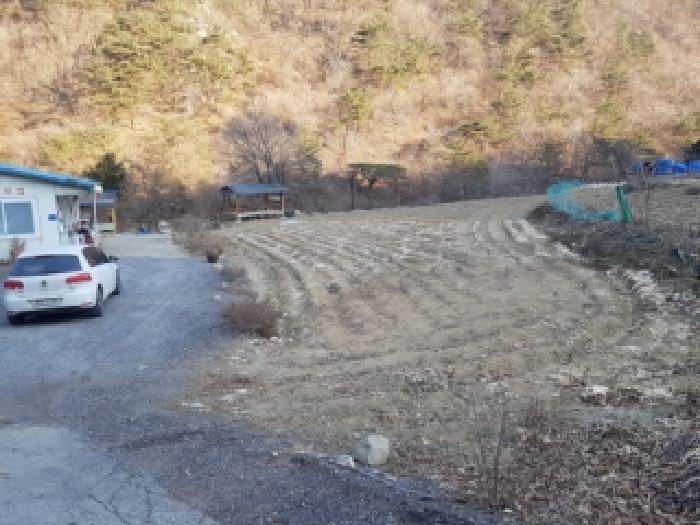 강원 인제군 상남면 전답 경매 물건 사진