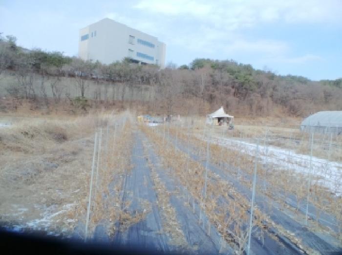 강원 춘천시 동내면 답 경매 물건 사진 4 · 2025타경51080