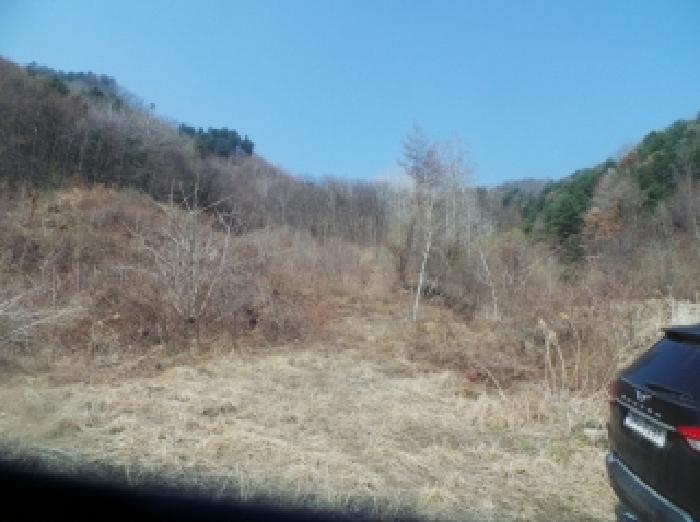 강원 춘천시 동산면 전답 경매 물건 사진 4 · 2026타경47