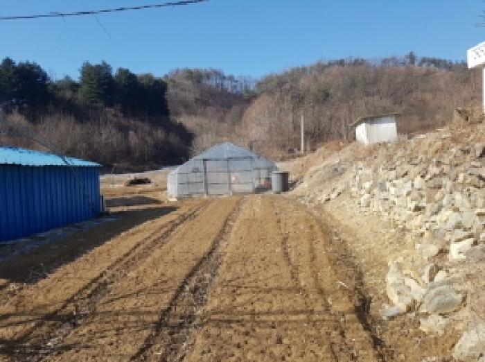 강원 양구군 양구읍 대지,임야,전답 경매 물건 사진