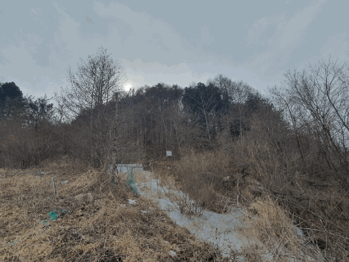 강원특별자치도 인제군 인제읍 덕적리 산51 임야 경매 물건 사진