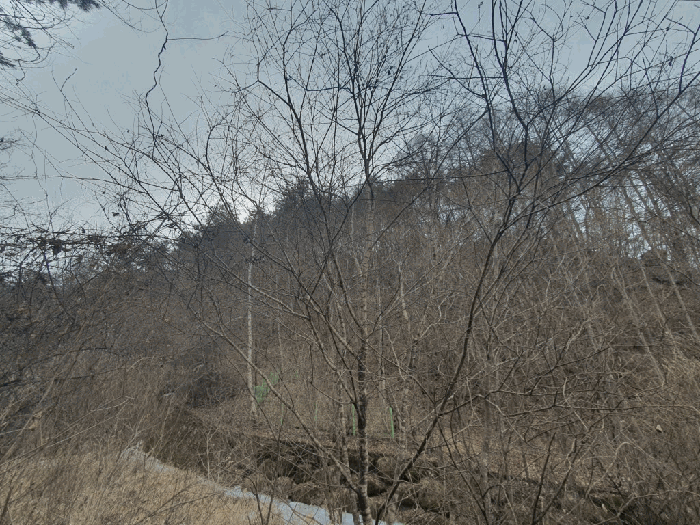 강원 인제군 인제읍 임야 경매 물건 사진 4 · 2026타경50042