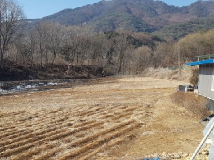 강원 양구군 양구읍 전답 경매 물건 사진