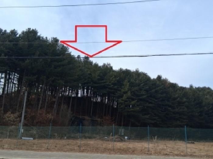 강원 춘천시 남산면 임야 경매 물건 사진