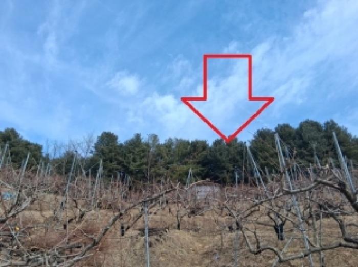 강원 춘천시 남산면 임야 경매 물건 사진 2 · 2026타경50077