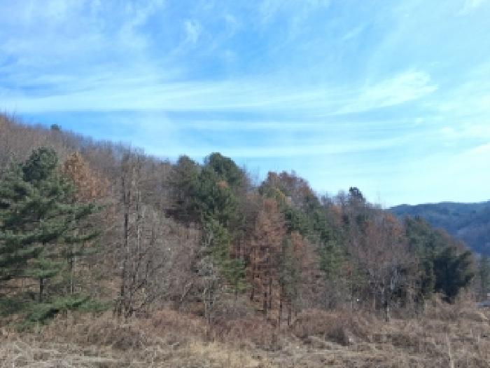 강원 춘천시 남산면 임야 경매 물건 사진 4 · 2026타경50077