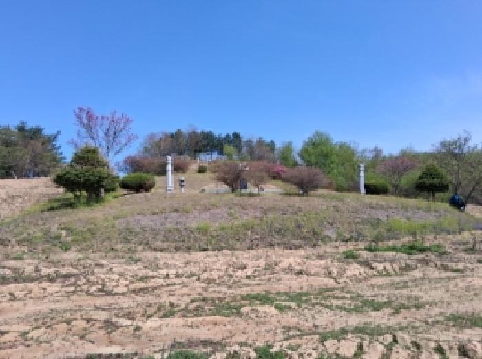 강원 양구군 해안면 전답 경매 물건 사진