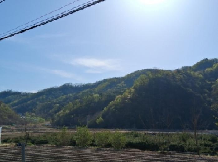 강원 춘천시 서면 임야 경매 물건 사진