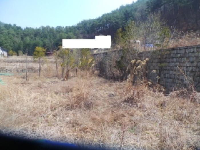 강원 홍천군 홍천읍 대지,임야,전답 경매 물건 사진 2 · 2026타경50124