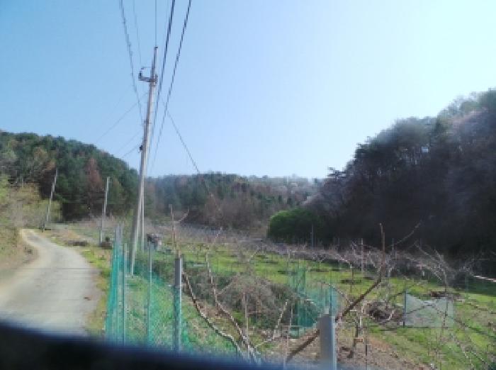 강원 홍천군 북방면 임야 경매 물건 사진